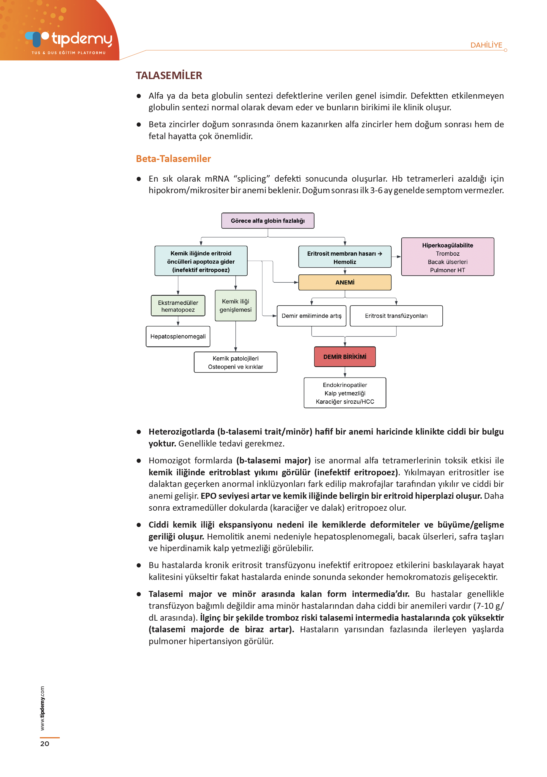 Dahiliye Konu Kitabı - 1